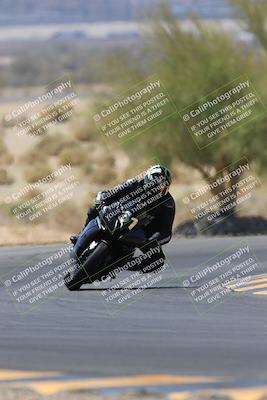 media/May-14-2023-SoCal Trackdays (Sun) [[024eb53b40]]/Turn 5 Tree of Life (1125am)/